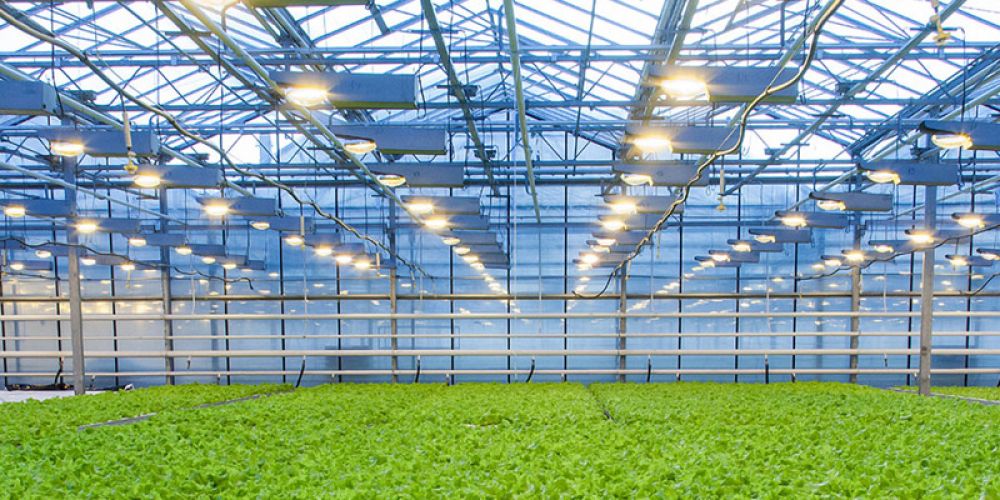 Traceability of ETFE greenhouse development