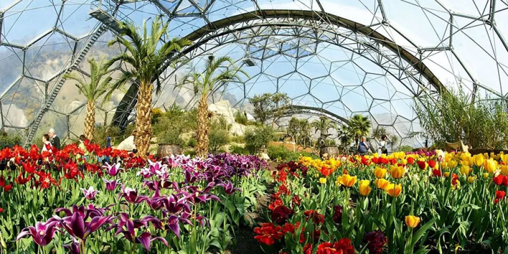 The application of ETFE in Eden